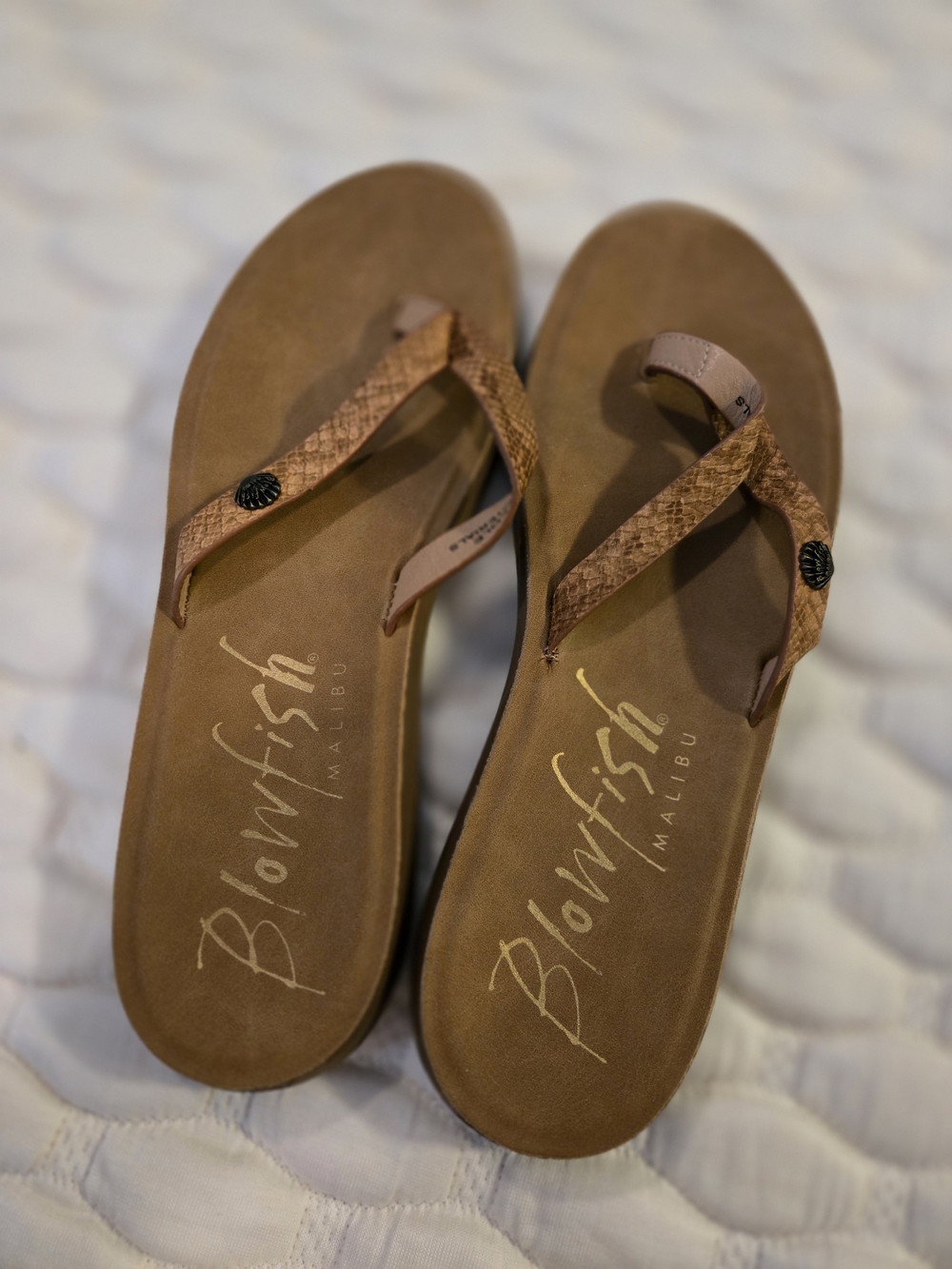 Blowfish Malibu Brown Flip Flops Seashell Casual Summer Shoes Women's Size 8
